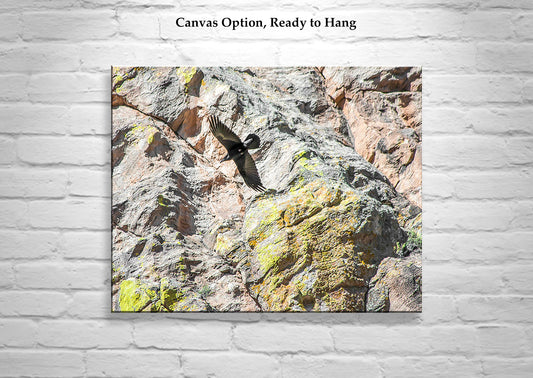 Raven in Flight Photography Art Print Set of 2 | Desert Wildlife Diptych