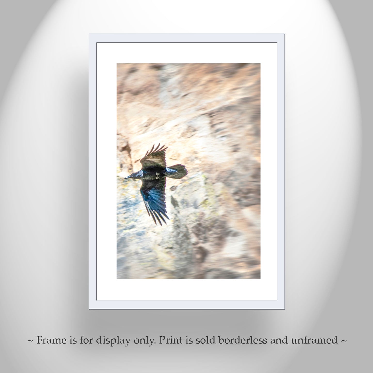 Raven Bird Art Photography Print in Arizona Desert Canyon | Tucson Desert Bird Art Gift