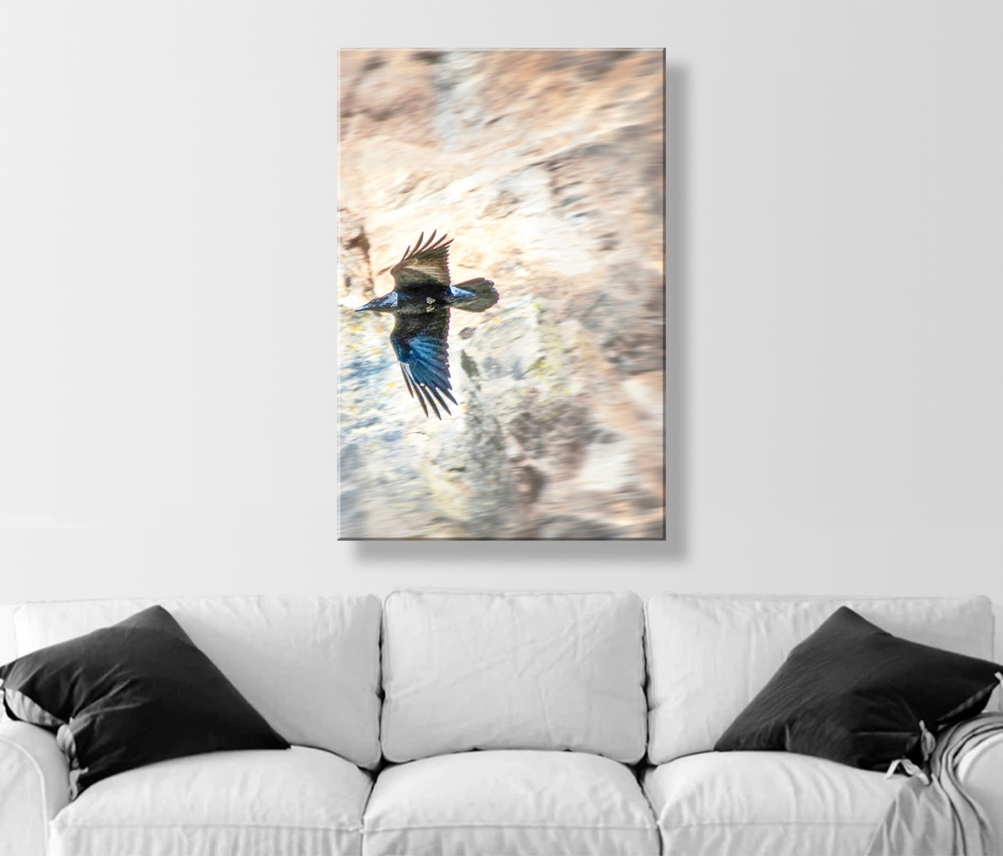 Raven Bird Art Photography Print in Arizona Desert Canyon | Tucson Desert Bird Art Gift