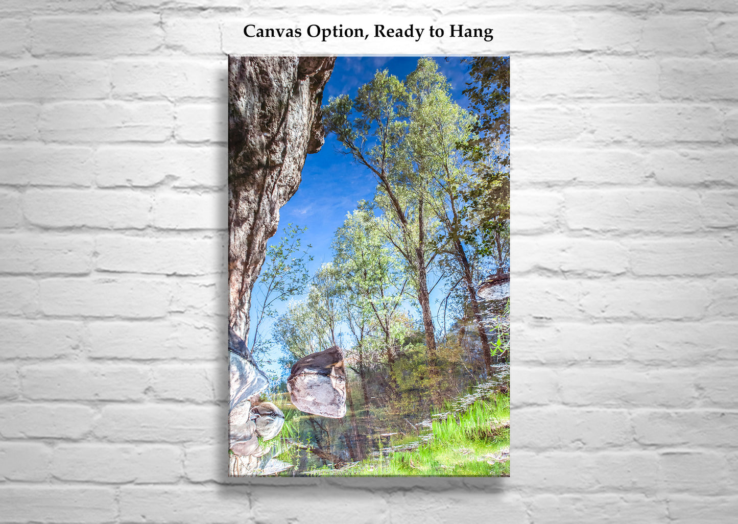 Arizona Canyon Creek Oasis Wall Art | Abstract Water Reflection Print