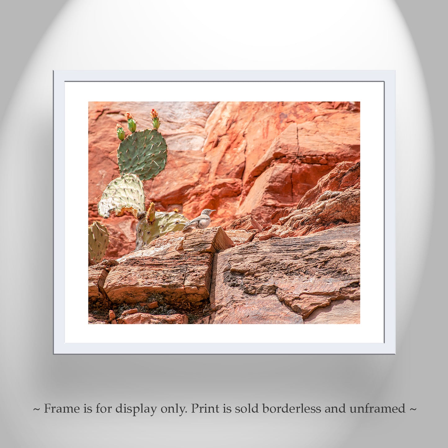 Desert Canyon Rock Wren Bird Art | Southwestern Wall Decor