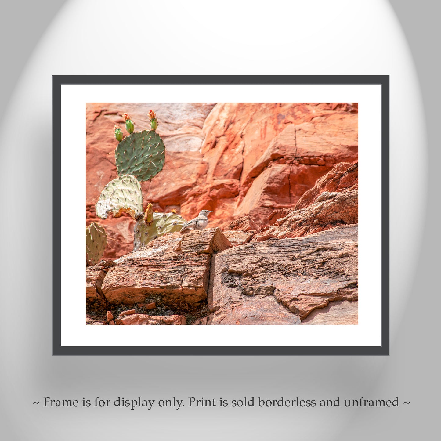 Desert Canyon Rock Wren Bird Art | Southwestern Wall Decor