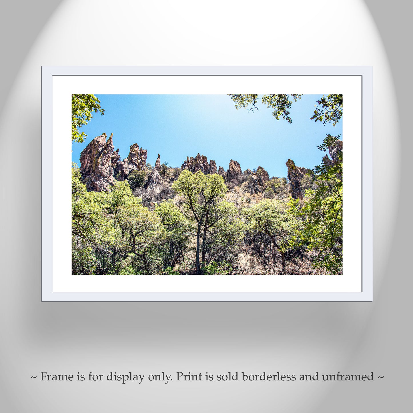 Arizona Mexico Border Desert Canyon Fine Art Print