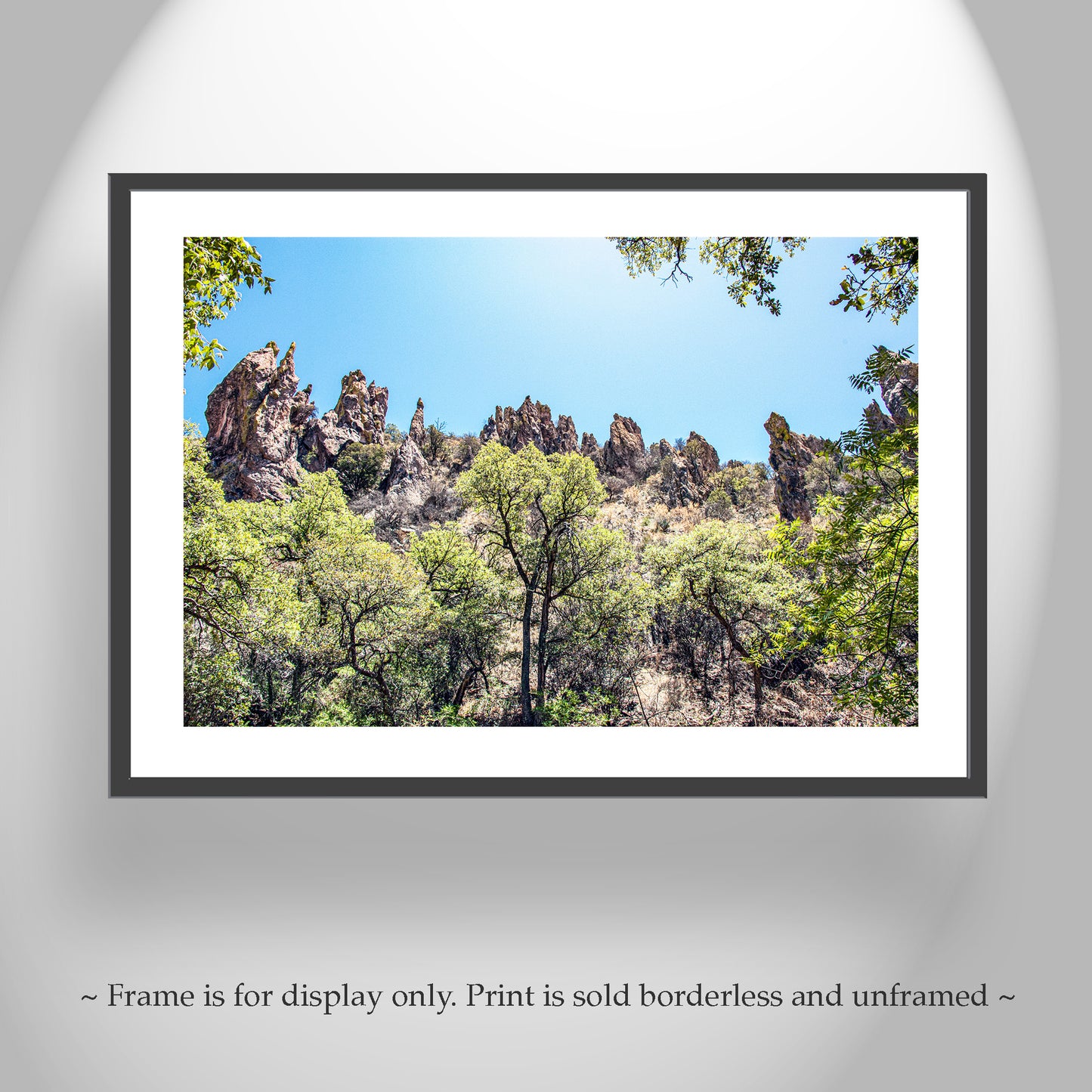 Arizona Mexico Border Desert Canyon Fine Art Print