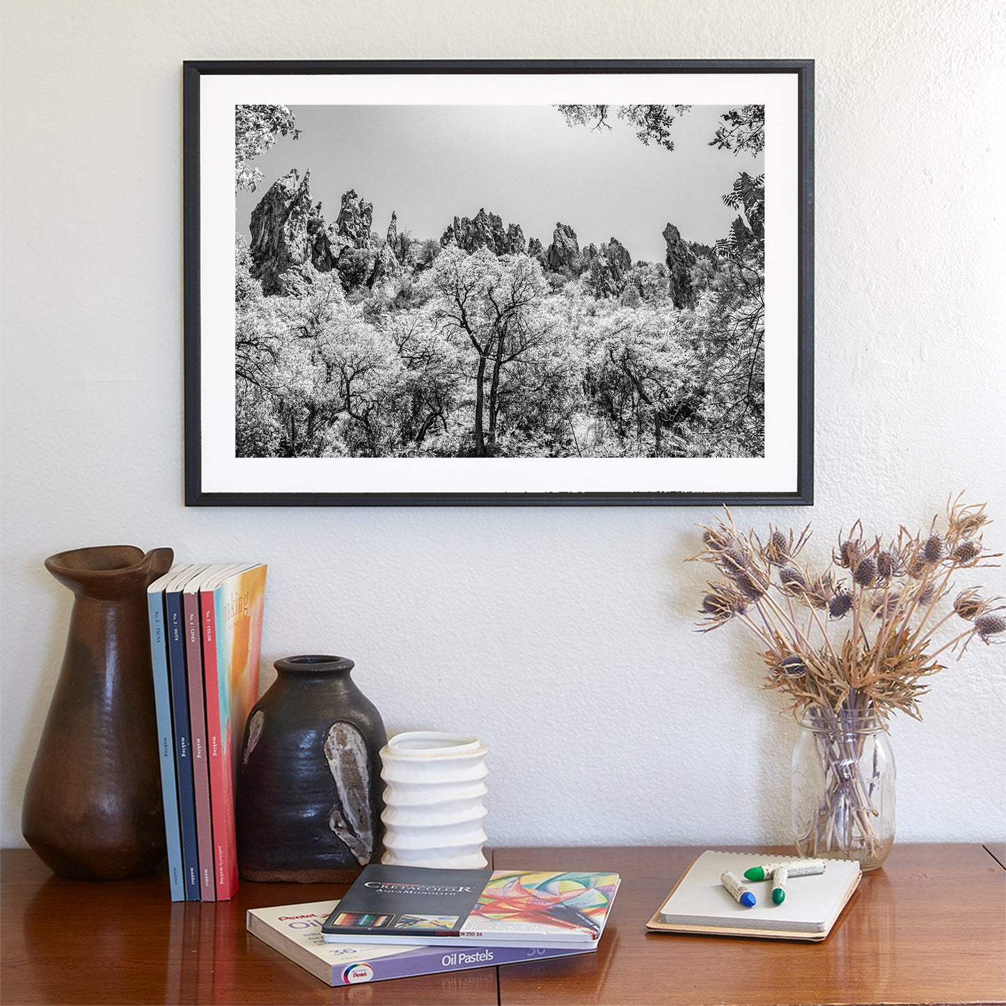 Arizona Mexico Border Desert Canyon Black and White Fine Art Print