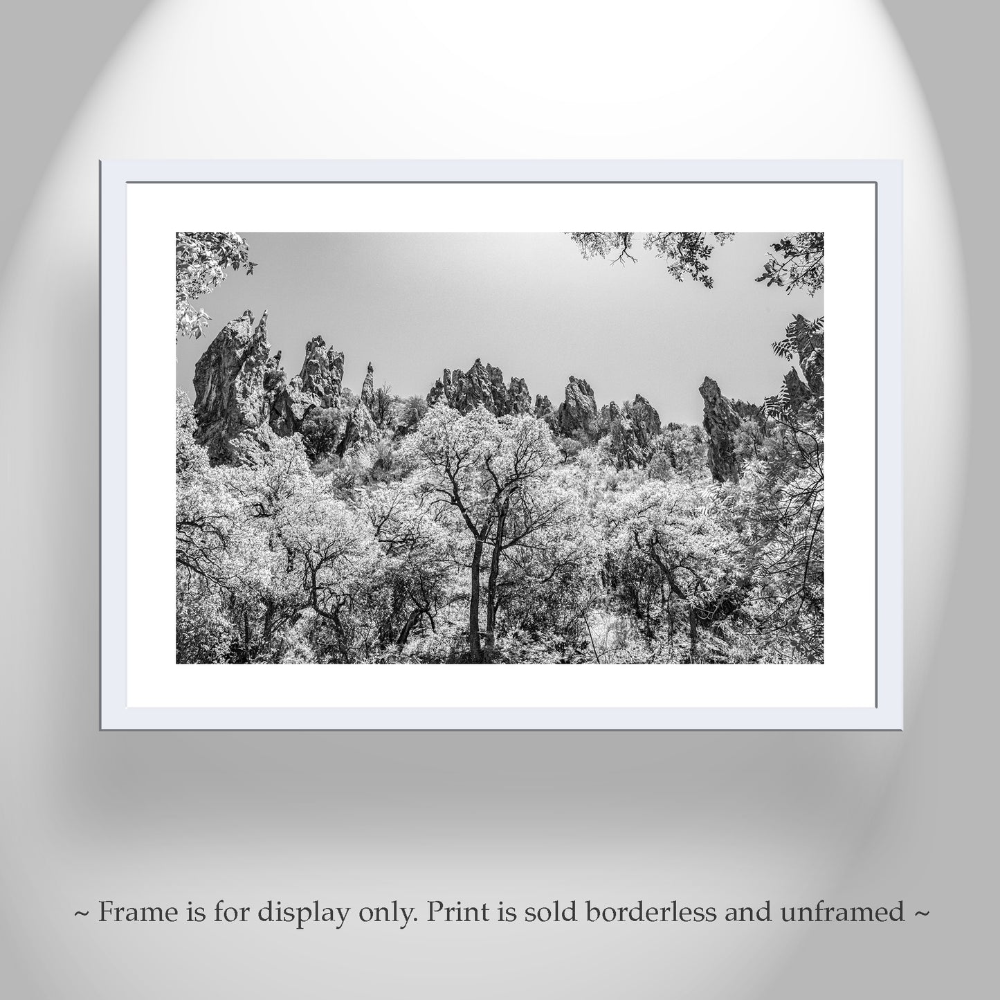 Arizona Mexico Border Desert Canyon Black and White Fine Art Print
