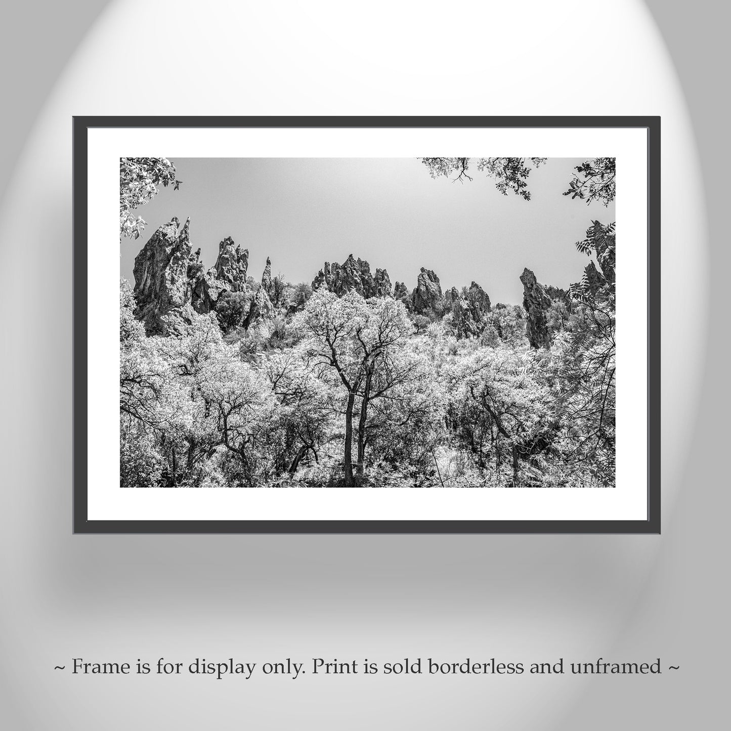 Arizona Mexico Border Desert Canyon Black and White Fine Art Print
