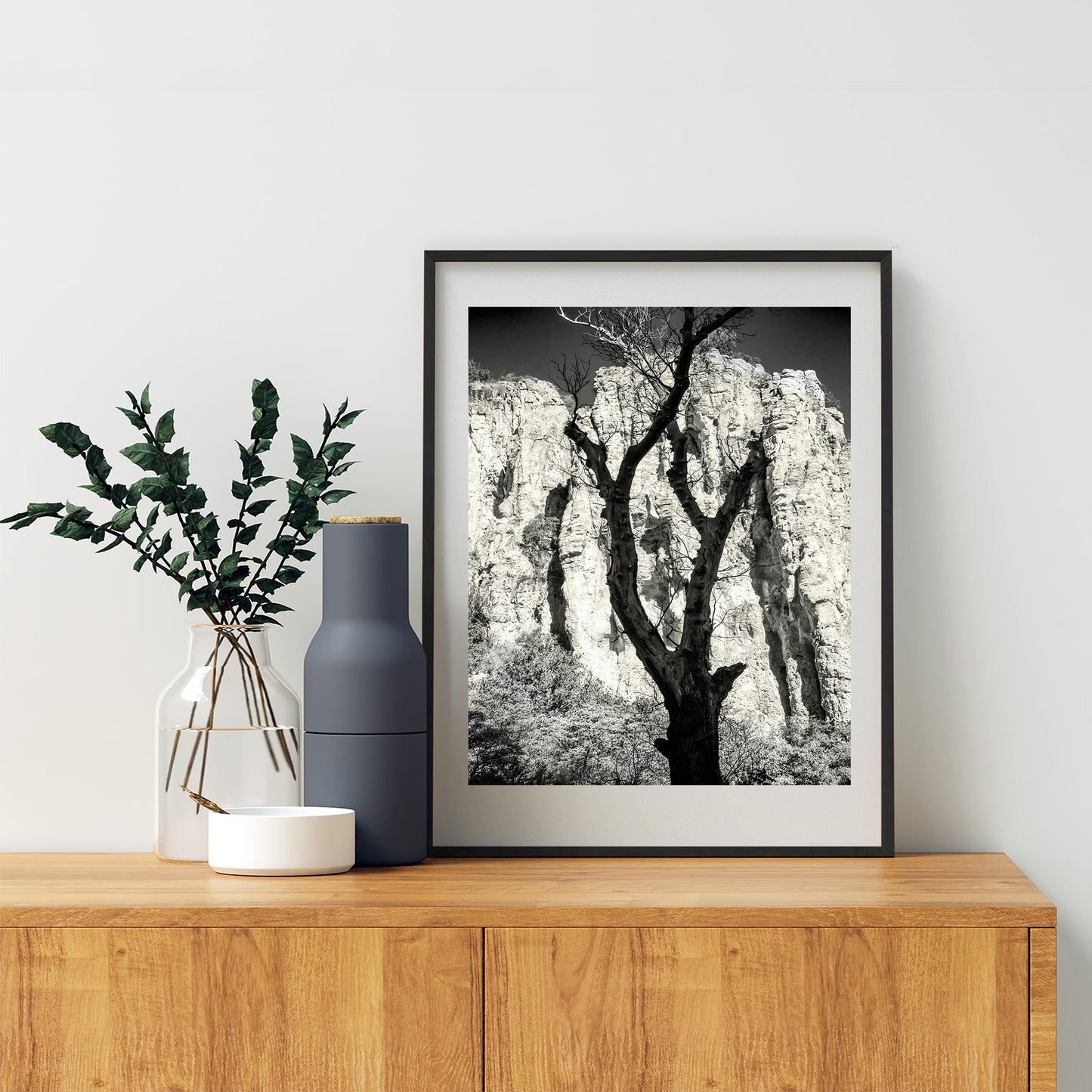 Desert Canyon Tree Silhouette in Sepia in Southern Arizona USA