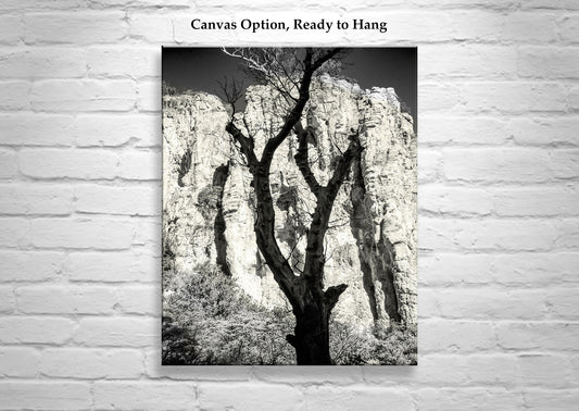 Desert Canyon Tree Silhouette Art Print | Sepia Arizona Photography