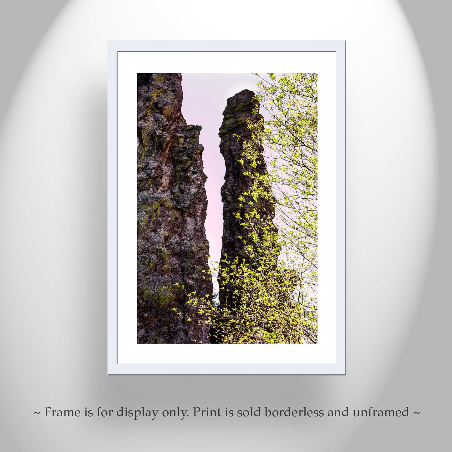 Mexico Border Wilderness Landscape Artwork with Desert Canyon