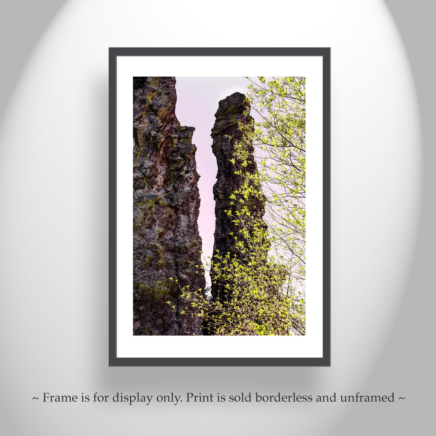 Mexico Border Wilderness Landscape Artwork with Desert Canyon