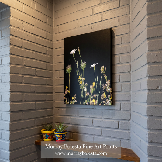 Wildflowers against a black background. Minimalist Flower Print with Arizona Desert Canyon Wildflowers by Murray Bolesta