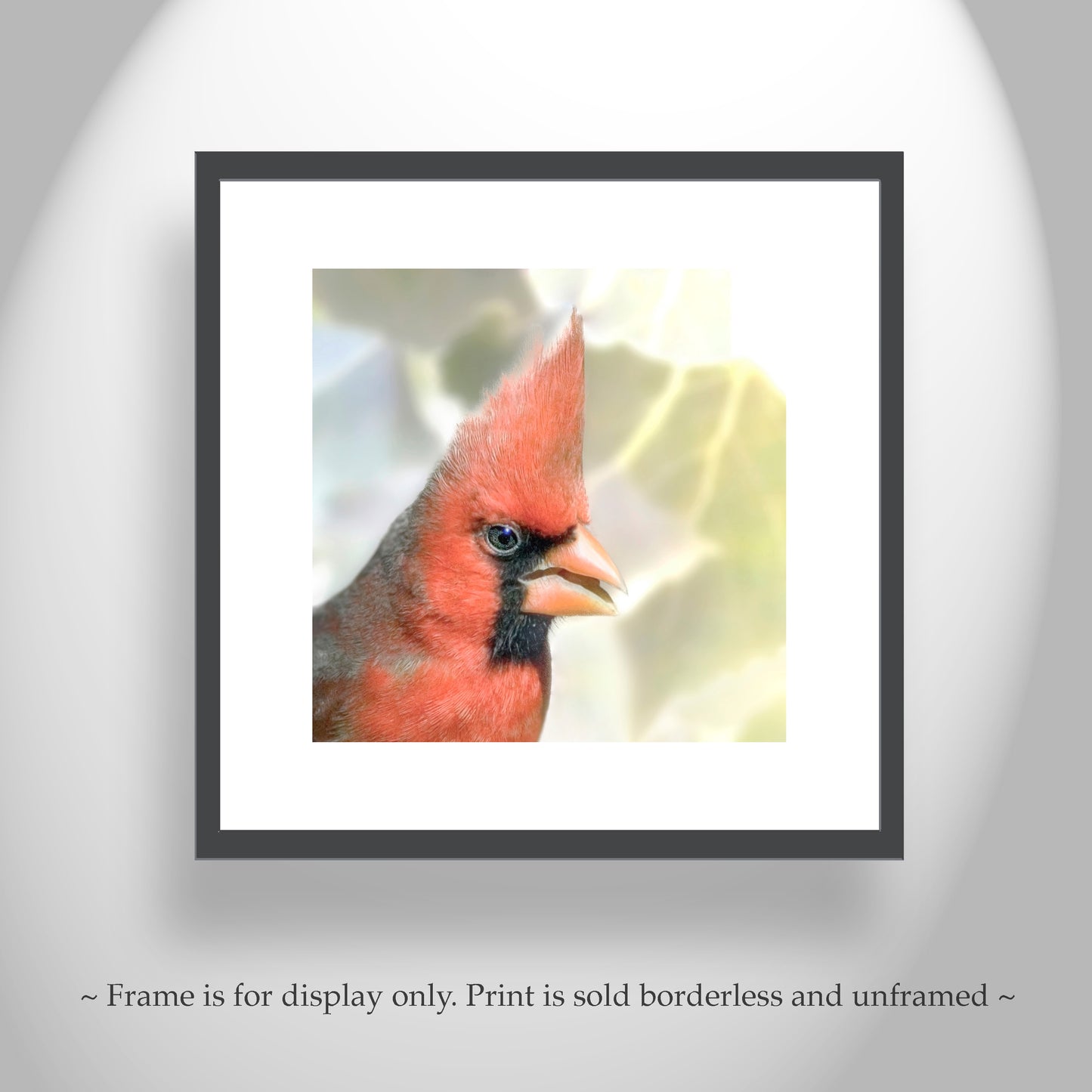 Red Cardinal Bird Art on Square Print as Bright Spring Nature Decor