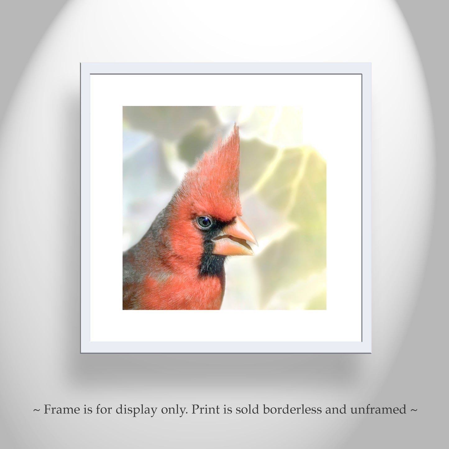 Red Cardinal Bird Art on Square Print as Bright Spring Nature Decor