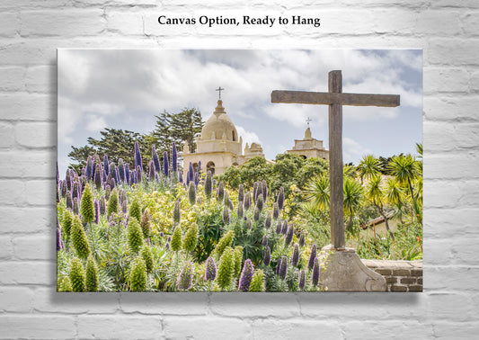 Carmel Mission Spring Blooms – Spanish Mission Garden Art Print Photo