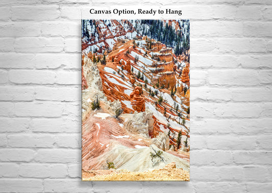 Cedar Breaks Utah Winter Landscape Art Print