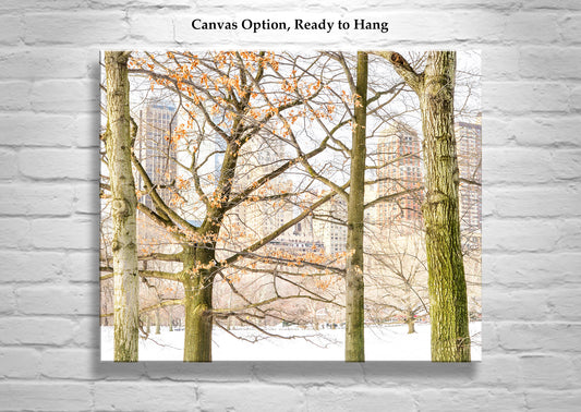 Central Park Winter Photograph as NYC Wall Decor for Home or Office