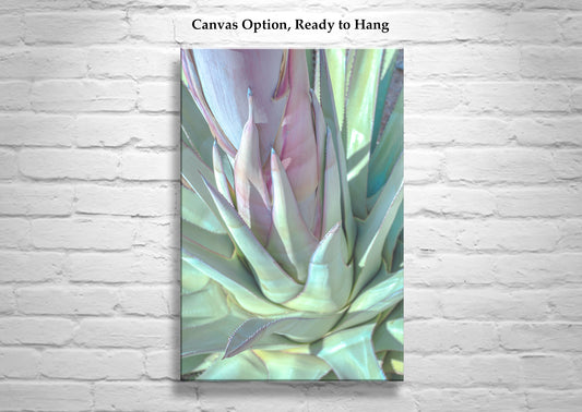 Desert Agave Wall Art | Pastel Botanical Print Tucson Arizona