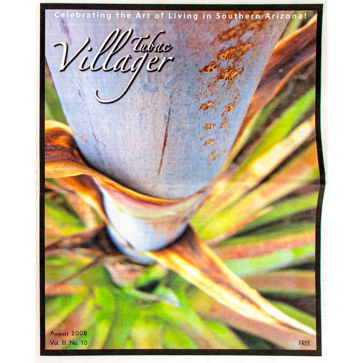 Blue Agave Century Plant Photo | Tucson Arizona Nature Print