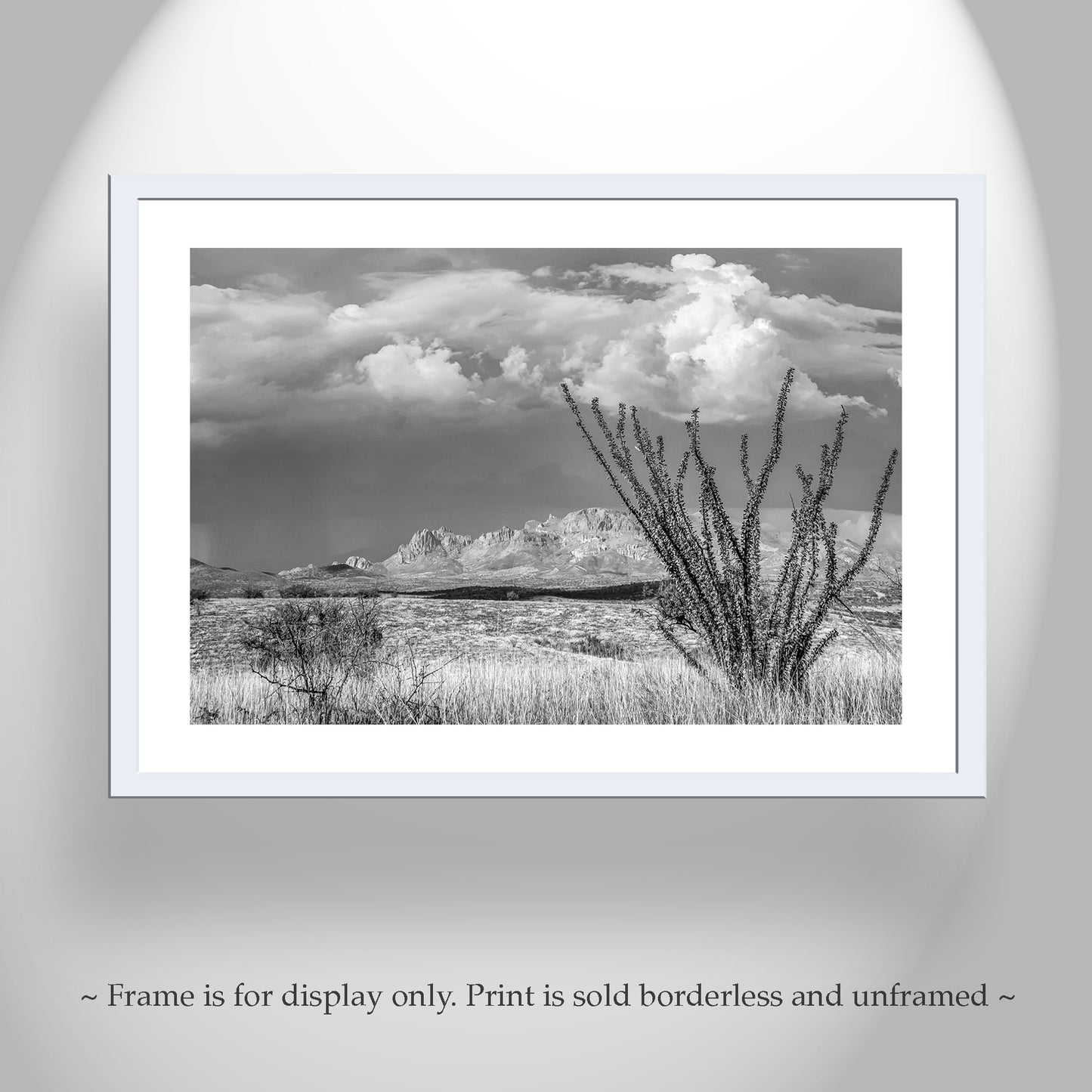 Black and White Mexico Border Desert Landscape Art for Sale with Ocotillo