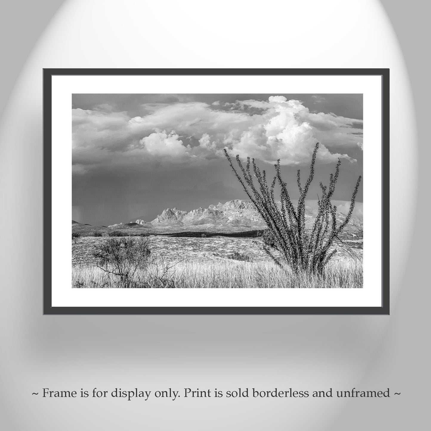 Black and White Mexico Border Desert Landscape Art for Sale with Ocotillo