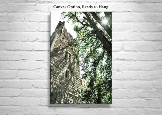 Old Castle South of France | French Chateau Art Print Gift