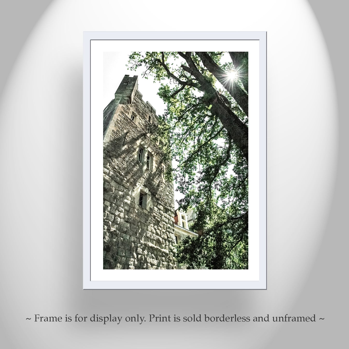 Old Castle in South of France | French Chateau Art Print