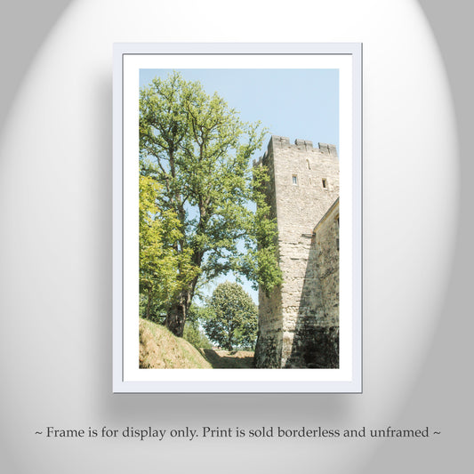 French Castle Art Print in Aquitaine France | Wall Decor Francophile