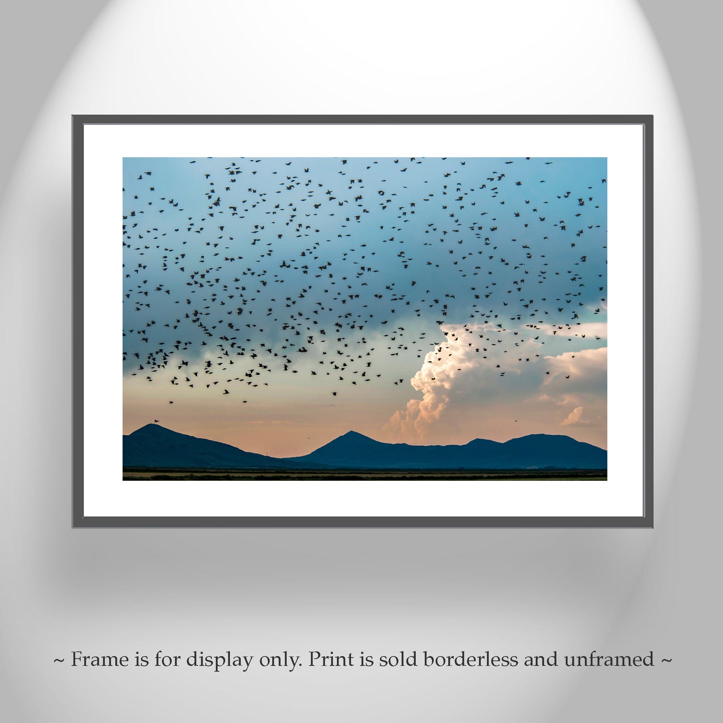 Flock of Birds Art in Klamath Wildlife Refuge – Moody Wetlands Artwork