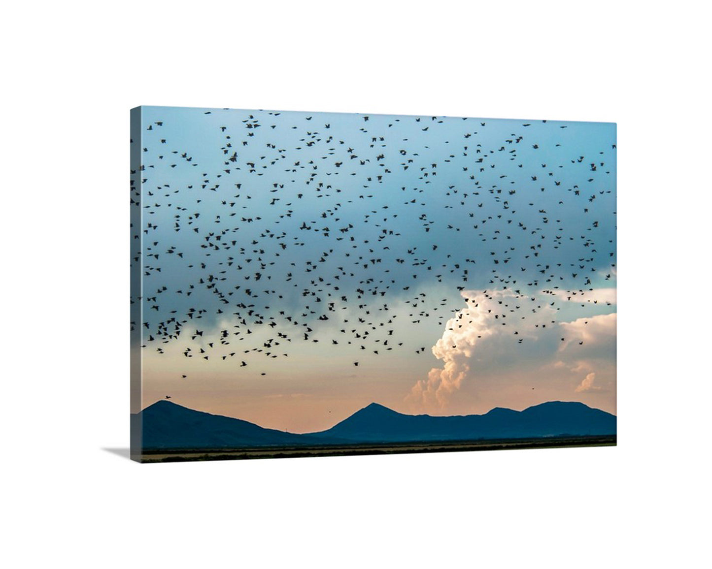 Flock of Birds Art in Klamath Wildlife Refuge – Moody Wetlands Artwork