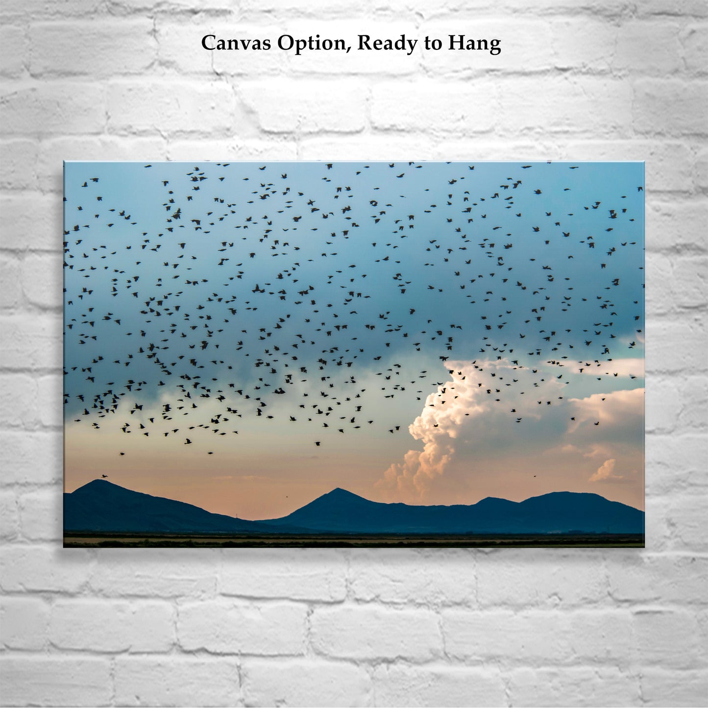 Flock of Birds Art in Klamath Wildlife Refuge – Moody Wetlands Artwork