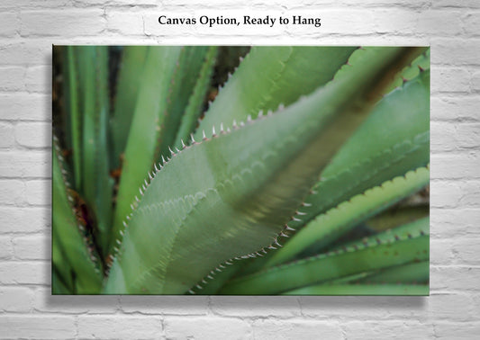 Green Agave Artworks as Botanical Wall Decor Diptych Set of 2 Prints