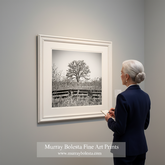 Black and white photo of a lone tree in a field with a fence. Cottonwood Tree Photograph in Black and White in Surreal Frosty Winter Landscape by Murray Bolesta