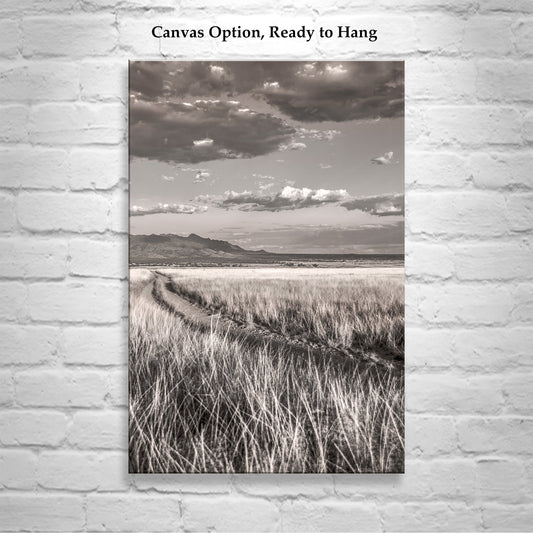 Country Road Landscape Art in San Rafael Valley Arizona Ranchland