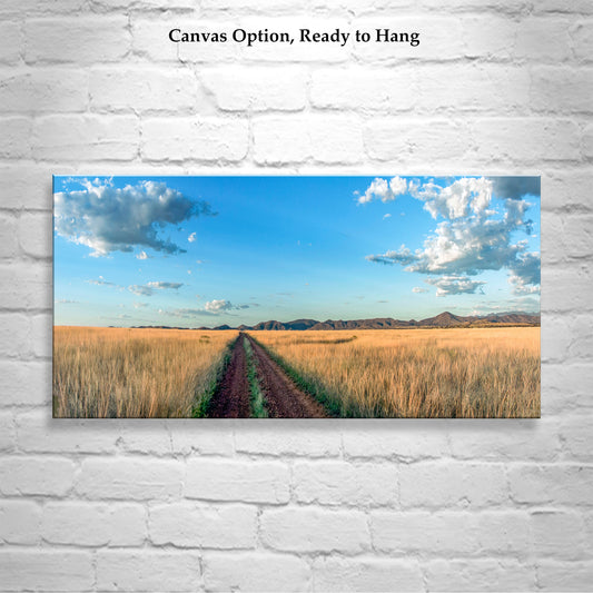 Country Roads Art Photography in Panorama | San Rafael Valley Southern Arizona