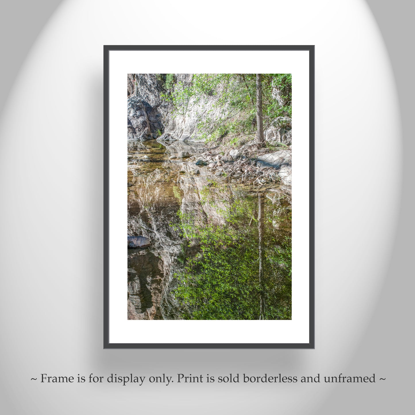 Fine Art Nature Print | Wilderness Canyon Creek Water Reflections