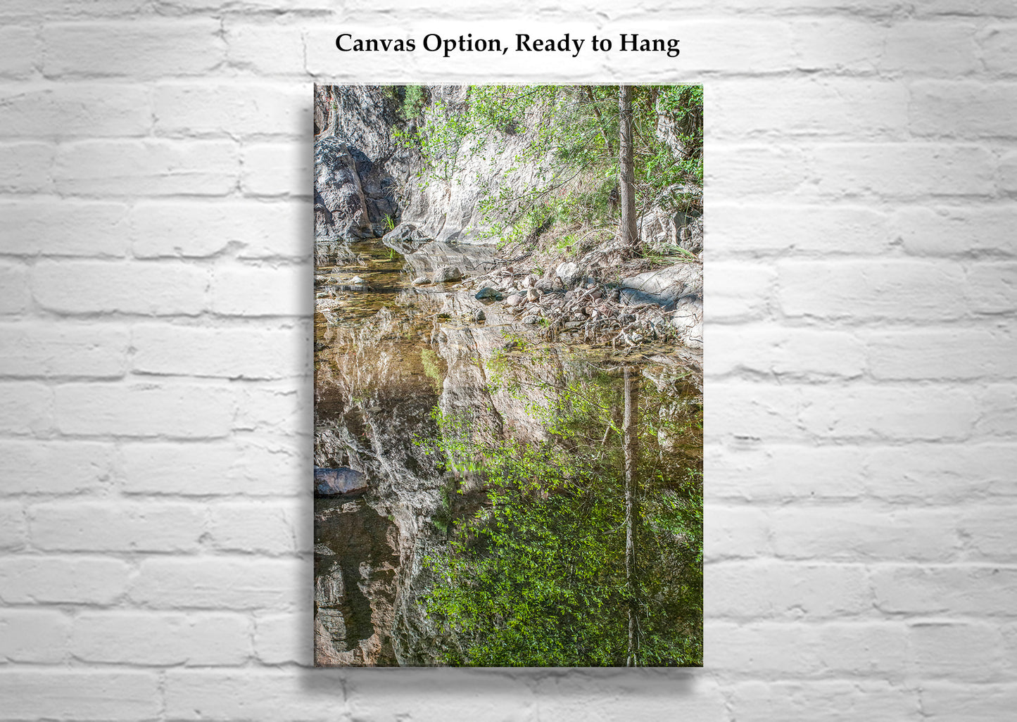 Fine Art Nature Print | Wilderness Canyon Creek Water Reflections