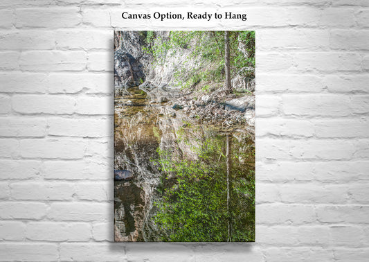 Wilderness Canyon Creek Water Reflections Art Print | Arizona Nature Photography