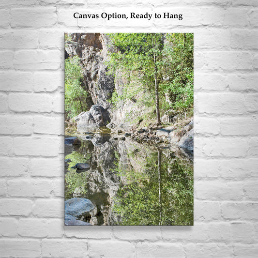 Desert Stream Wilderness Photography Art Print from Arizona Canyon