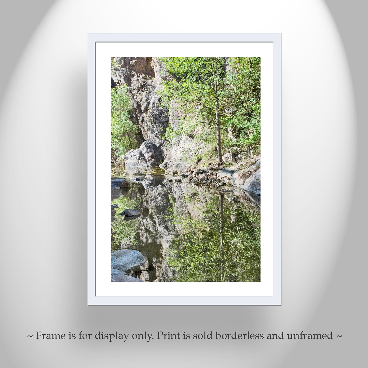 Desert Stream Wilderness Photography in Arizona Canyon