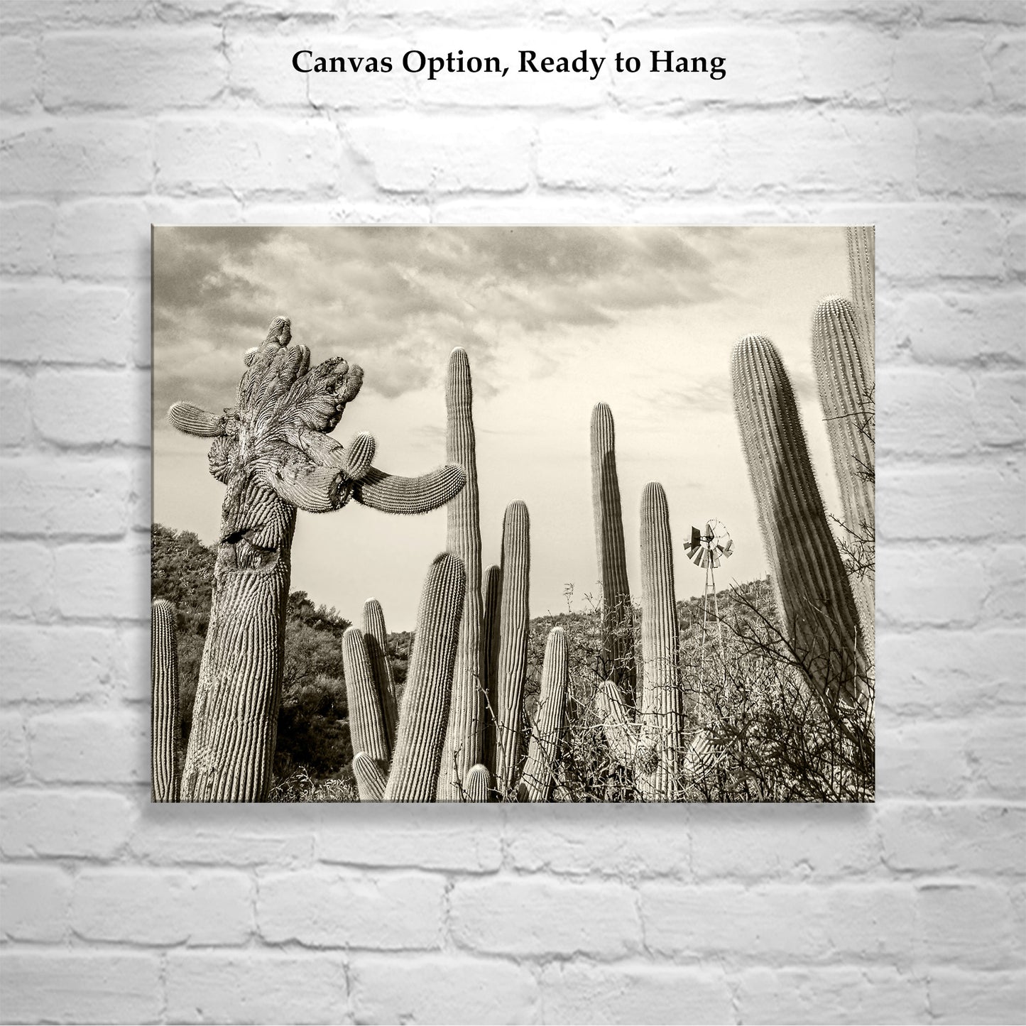 Cactus Landscape Wall Decor with Crested Cactus