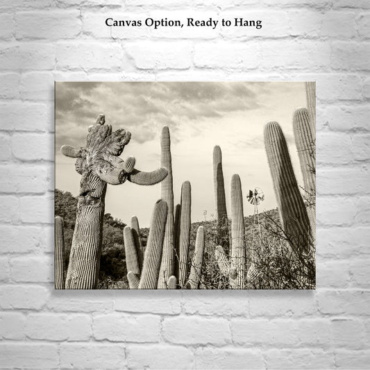 Cactus Landscape Wall Decor with Crested Cactus | Sepia Desert Art
