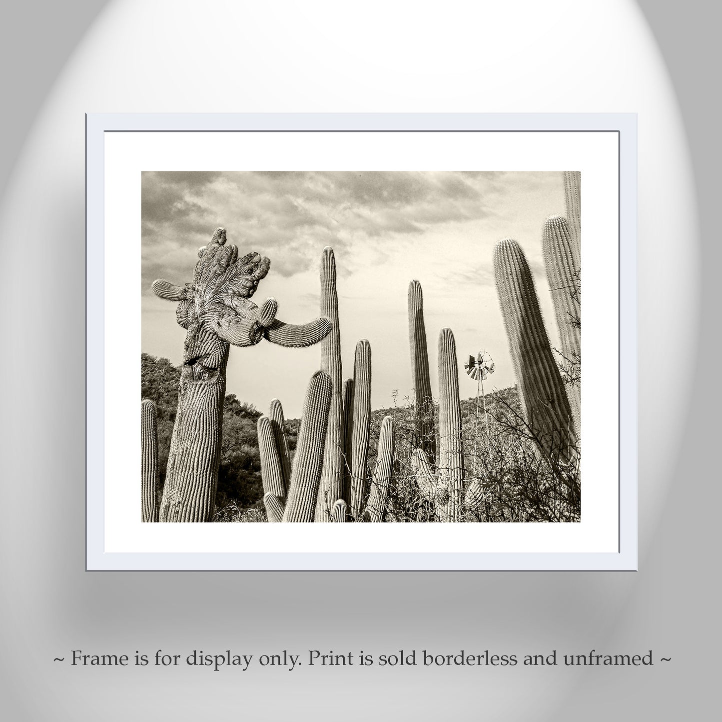 Cactus Landscape Wall Decor with Crested Cactus