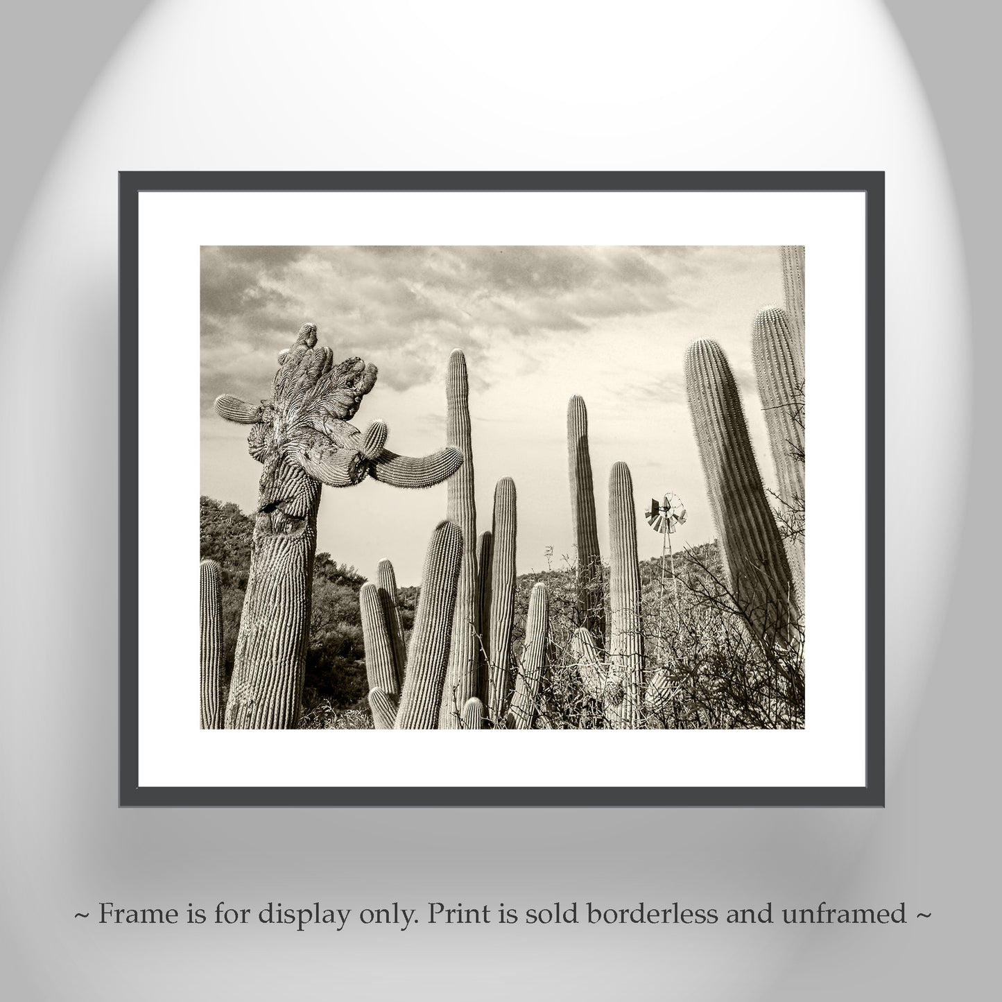 Cactus Landscape Wall Decor with Crested Cactus