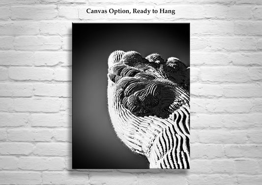 Crested Cactus Abstract Art in Black & White | Arizona Desert Decor