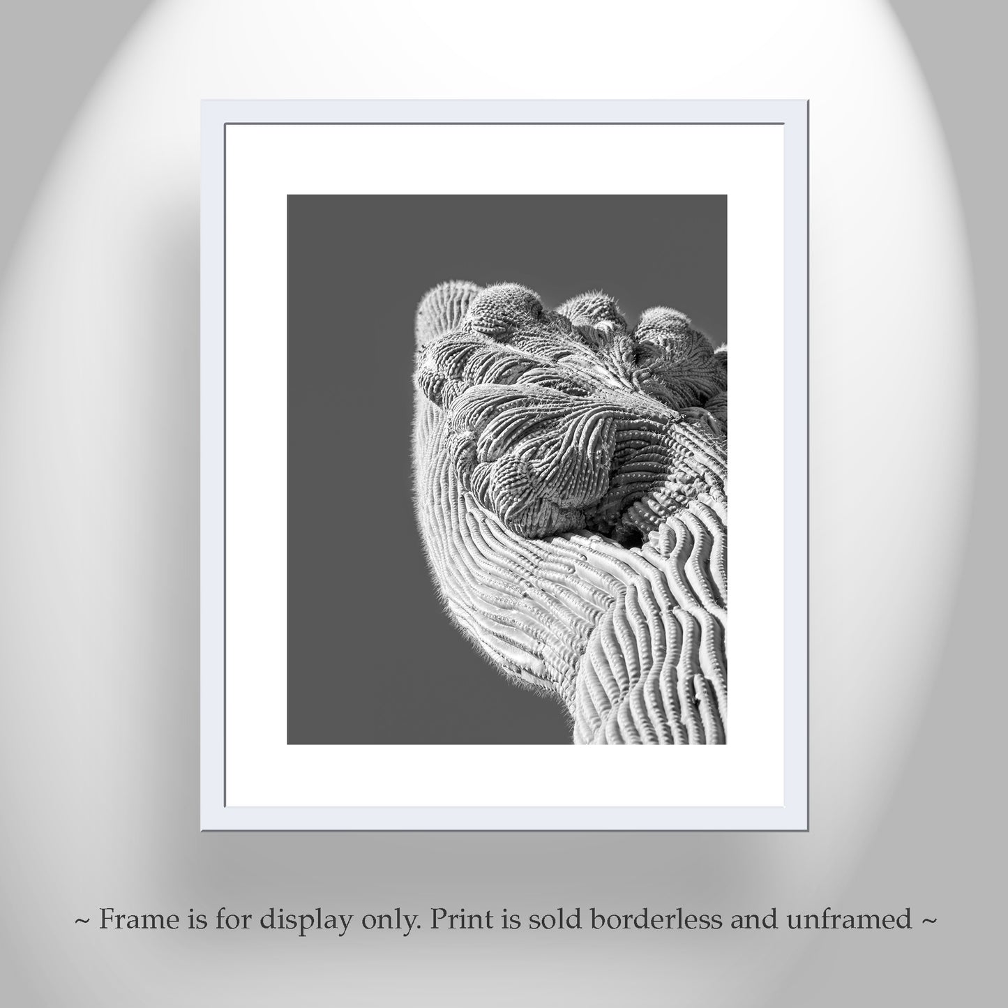 Crested Cactus Abstract Desert Saguaro Art Print in Black and White
