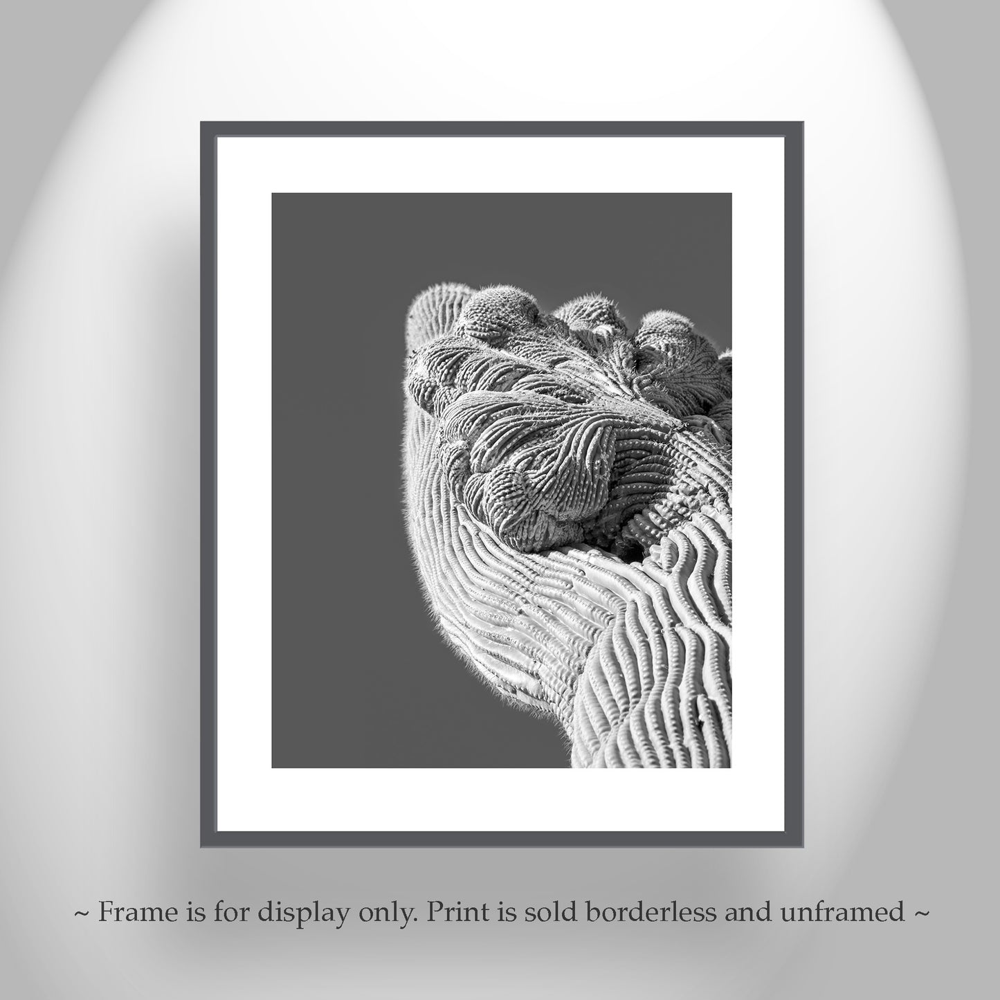 Crested Cactus Abstract Desert Saguaro Art Print in Black and White
