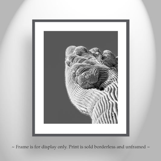 Crested Saguaro Cactus Art Print - Black & White Desert Abstract