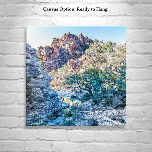 Desert Canyon Wall Decor - Southern Arizona Wilderness Square Art Print