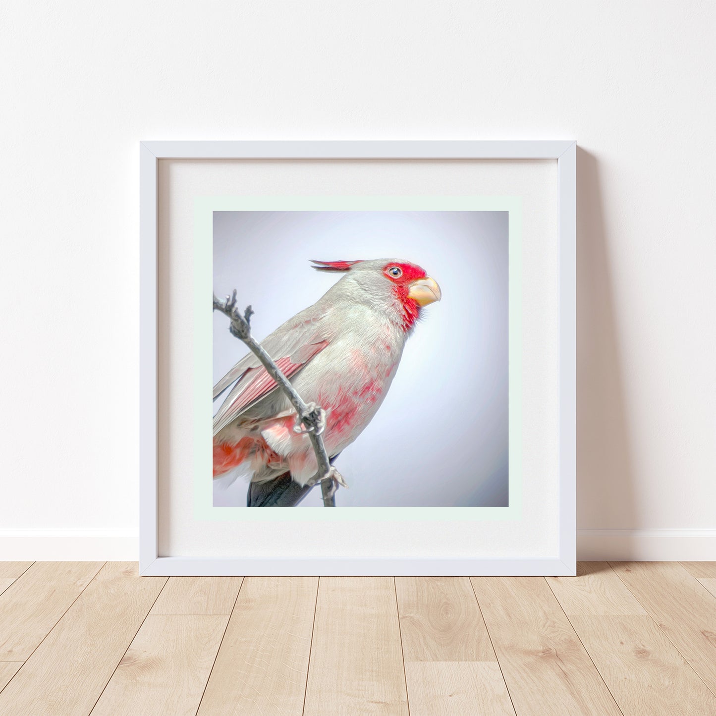 Pastel Bird Art with Desert Cardinal Pyrrhuloxia on Square Print